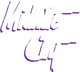 Midnite City